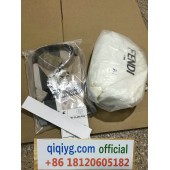 Cómo hacer un pedido en qiqiyg qiqiyg.com whatsapp oficial Q374