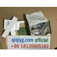 Cómo hacer un pedido en qiqiyg qiqiyg.com whatsapp oficial Q512